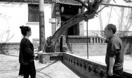 沙河村最新爆料新闻事件,揭秘神秘事件背后的惊人真相