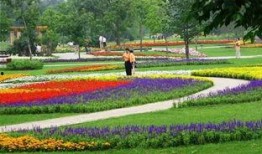 长春百花园爆料最新消息,揭秘神秘事件背后的真相