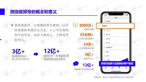 最新散兵爆料视频下载手机版,手机版游戏全新玩法抢先看！